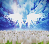 乘着歌声的翅膀