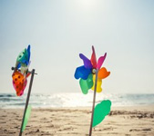 海岸线上的风车