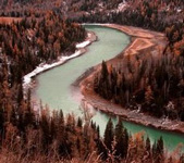 流淌在你身体里的河