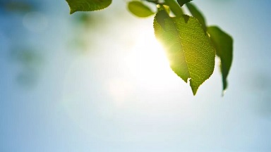 乐观性自我测试